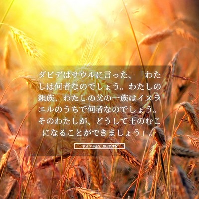 Picture 05 - サムエル記上 18:18 JPN - ダビデはサウルに言った、「わたし - Bible Verse Picture