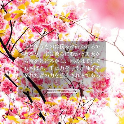 Picture 05 - サムエル記上 2:10 JPN - 主と争うものは粉々に砕かれるであ - Bible Verse Picture