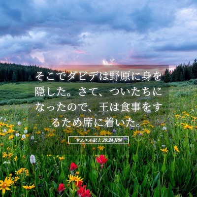 Picture 05 - サムエル記上 20:24 JPN - そこでダビデは野原に身を隠した。 - Bible Verse Picture