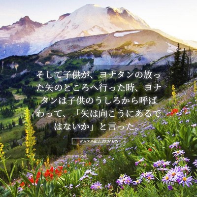 Picture 05 - サムエル記上 20:37 JPN - そして子供が、ヨナタンの放った矢 - Bible Verse Picture