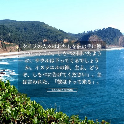 Picture 05 - サムエル記上 23:11 JPN - ケイラの人々はわたしを彼の手に渡 - Bible Verse Picture