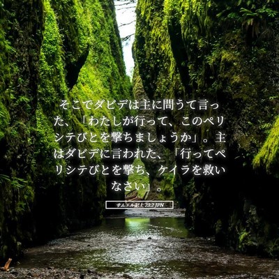 Picture 05 - サムエル記上 23:2 JPN - そこでダビデは主に問うて言った、 - Bible Verse Picture