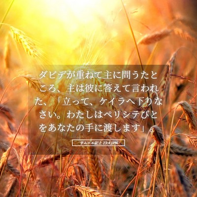 Picture 05 - サムエル記上 23:4 JPN - ダビデが重ねて主に問うたところ、 - Bible Verse Picture