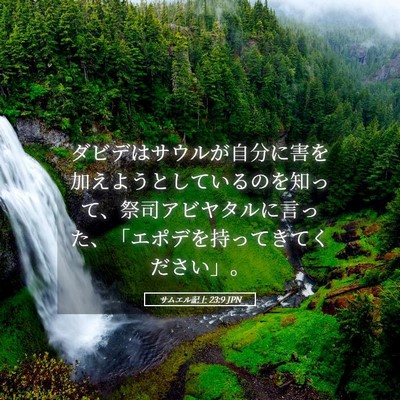 Picture 05 - サムエル記上 23:9 JPN - ダビデはサウルが自分に害を加えよ - Bible Verse Picture