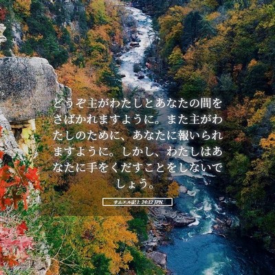 Picture 05 - サムエル記上 24:12 JPN - どうぞ主がわたしとあなたの間をさ - Bible Verse Picture