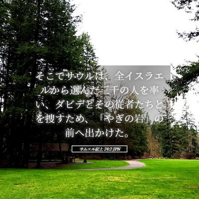 Picture 05 - サムエル記上 24:2 JPN - そこでサウルは、全イスラエルから - Bible Verse Picture