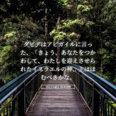 Picture 05 - サムエル記上 25:32 JPN - ダビデはアビガイルに言った、「き - Bible Verse Picture
