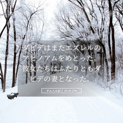 Picture 05 - サムエル記上 25:43 JPN - ダビデはまたエズレルのアヒノアム - Bible Verse Picture