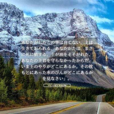 Picture 05 - サムエル記上 26:16 JPN - あなたがしたこの事は良くない。主 - Bible Verse Picture