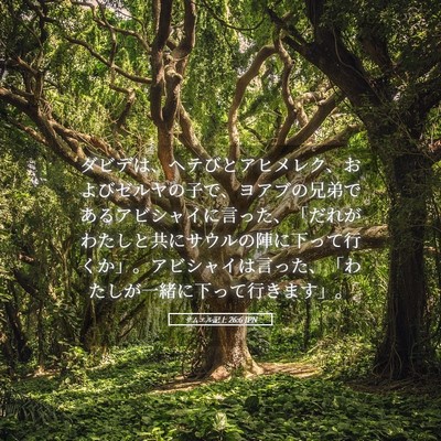 Picture 05 - サムエル記上 26:6 JPN - ダビデは、ヘテびとアヒメレク、お - Bible Verse Picture