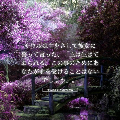 Picture 05 - サムエル記上 28:10 JPN - サウルは主をさして彼女に誓って言 - Bible Verse Picture