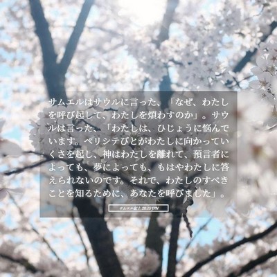 Picture 05 - サムエル記上 28:15 JPN - サムエルはサウルに言った、「なぜ - Bible Verse Picture