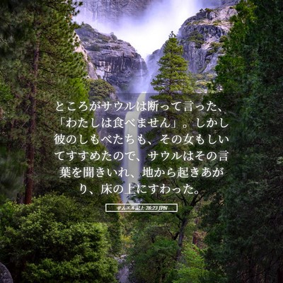 Picture 05 - サムエル記上 28:23 JPN - ところがサウルは断って言った、「 - Bible Verse Picture