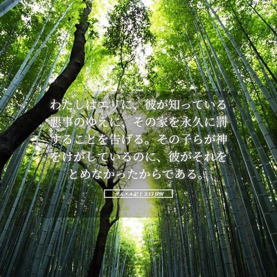 Picture 05 - サムエル記上 3:13 JPN - わたしはエリに、彼が知っている悪 - Bible Verse Picture