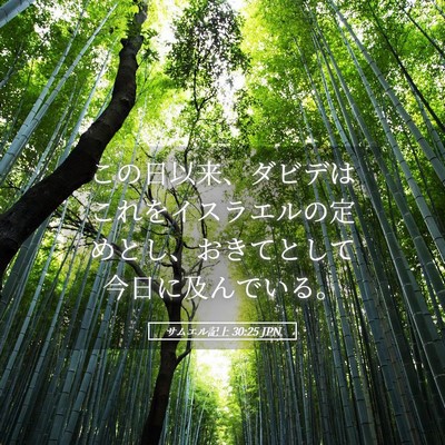 Picture 05 - サムエル記上 30:25 JPN - この日以来、ダビデはこれをイスラ - Bible Verse Picture