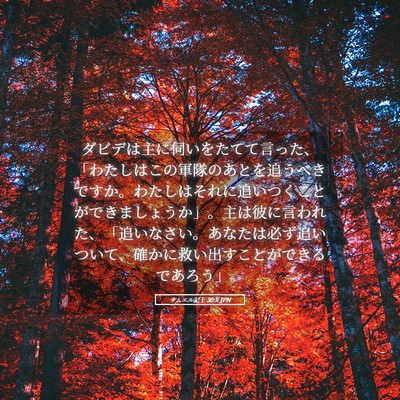 Picture 05 - サムエル記上 30:8 JPN - ダビデは主に伺いをたてて言った、 - Bible Verse Picture