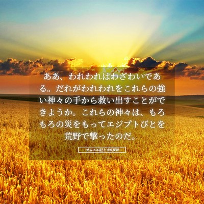 Picture 05 - サムエル記上 4:8 JPN - ああ、われわれはわざわいである。 - Bible Verse Picture