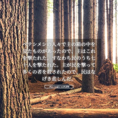 Picture 05 - サムエル記上 6:19 JPN - ベテシメシの人々で主の箱の中を見 - Bible Verse Picture