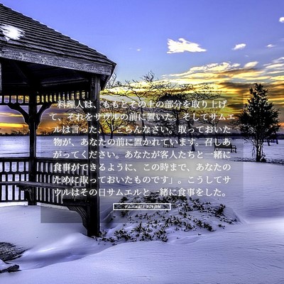 Picture 05 - サムエル記上 9:24 JPN - 料理人は、ももとその上の部分を取 - Bible Verse Picture