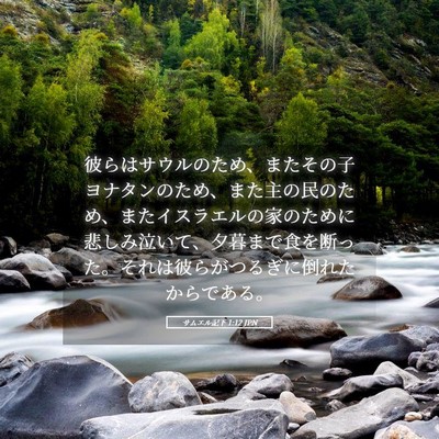 Picture 05 - サムエル記下 1:12 JPN - 彼らはサウルのため、またその子ヨ - Bible Verse Picture