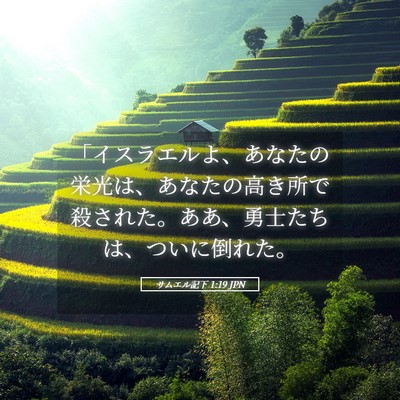 Picture 05 - サムエル記下 1:19 JPN - 「イスラエルよ、あなたの栄光は、 - Bible Verse Picture