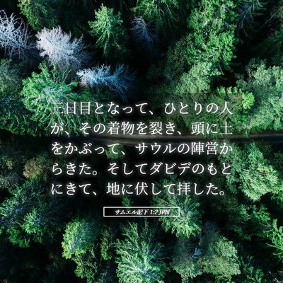 Picture 05 - サムエル記下 1:2 JPN - 三日目となって、ひとりの人が、そ - Bible Verse Picture