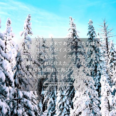 Picture 05 - サムエル記下 10:19 JPN - ハダデゼルの家来であった王たちは - Bible Verse Picture