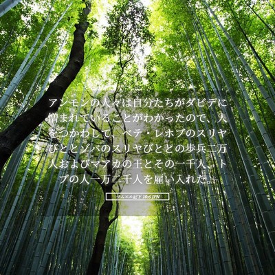 Picture 05 - サムエル記下 10:6 JPN - アンモンの人々は自分たちがダビデ - Bible Verse Picture