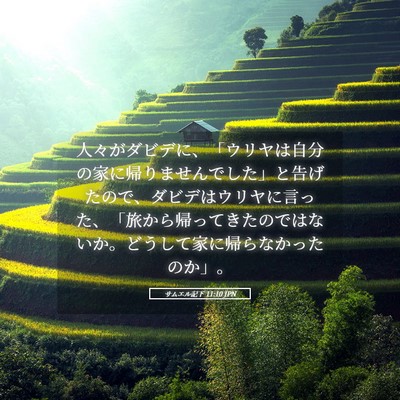 Picture 05 - サムエル記下 11:10 JPN - 人々がダビデに、「ウリヤは自分の - Bible Verse Picture