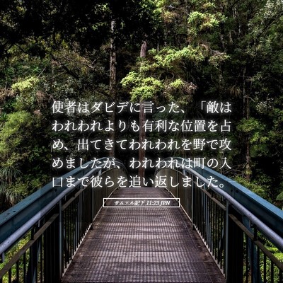 Picture 05 - サムエル記下 11:23 JPN - 使者はダビデに言った、「敵はわれ - Bible Verse Picture