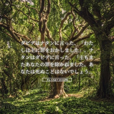 Picture 05 - サムエル記下 12:13 JPN - ダビデはナタンに言った、「わたし - Bible Verse Picture