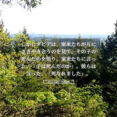 Picture 05 - サムエル記下 12:19 JPN - しかしダビデは、家来たちが互にさ - Bible Verse Picture