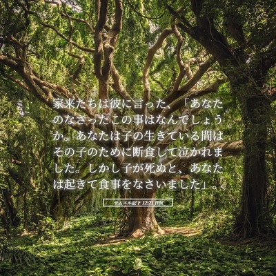 Picture 05 - サムエル記下 12:21 JPN - 家来たちは彼に言った、「あなたの - Bible Verse Picture