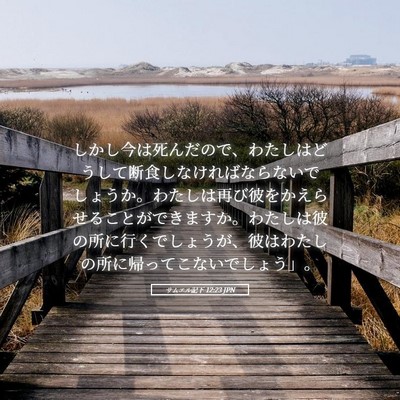 Picture 05 - サムエル記下 12:23 JPN - しかし今は死んだので、わたしはど - Bible Verse Picture