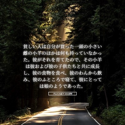 Picture 05 - サムエル記下 12:3 JPN - 貧しい人は自分が買った一頭の小さ - Bible Verse Picture
