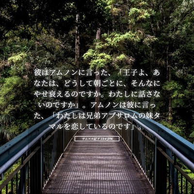 Picture 05 - サムエル記下 13:4 JPN - 彼はアムノンに言った、「王子よ、 - Bible Verse Picture