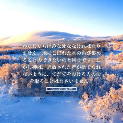 Picture 05 - サムエル記下 14:14 JPN - わたしたちはみな死ななければなり - Bible Verse Picture