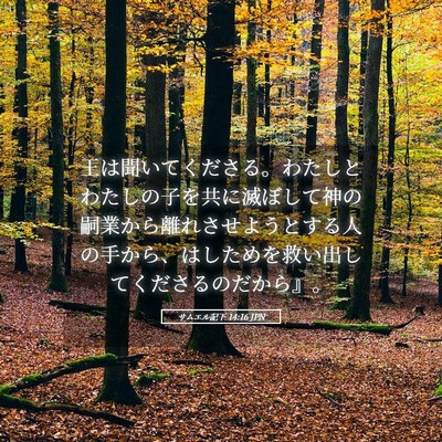 Picture 05 - サムエル記下 14:16 JPN - 王は聞いてくださる。わたしとわた - Bible Verse Picture