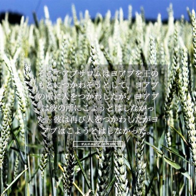 Picture 05 - サムエル記下 14:29 JPN - そこでアブサロムはヨアブを王のも - Bible Verse Picture