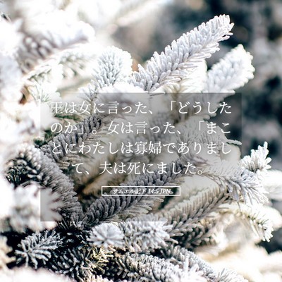 Picture 05 - サムエル記下 14:5 JPN - 王は女に言った、「どうしたのか」 - Bible Verse Picture