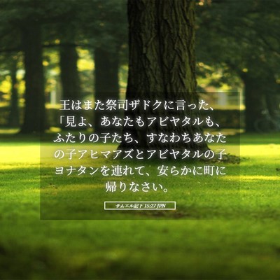 Picture 05 - サムエル記下 15:27 JPN - 王はまた祭司ザドクに言った、「見 - Bible Verse Picture