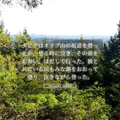 Picture 05 - サムエル記下 15:30 JPN - ダビデはオリブ山の坂道を登ったが - Bible Verse Picture