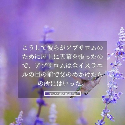 Picture 05 - サムエル記下 16:22 JPN - こうして彼らがアブサロムのために - Bible Verse Picture