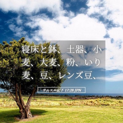 Picture 05 - サムエル記下 17:28 JPN - 寝床と鉢、土器、小麦、大麦、粉、 - Bible Verse Picture