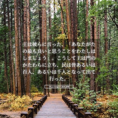 Picture 05 - サムエル記下 18:4 JPN - 王は彼らに言った、「あなたがたの - Bible Verse Picture