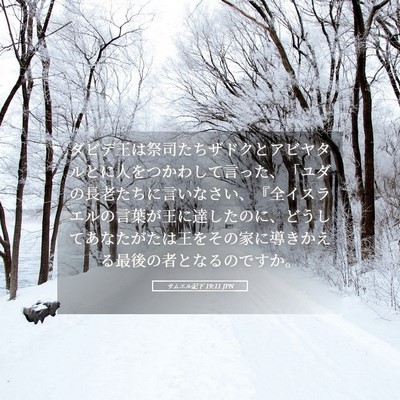 Picture 05 - サムエル記下 19:11 JPN - ダビデ王は祭司たちザドクとアビヤ - Bible Verse Picture