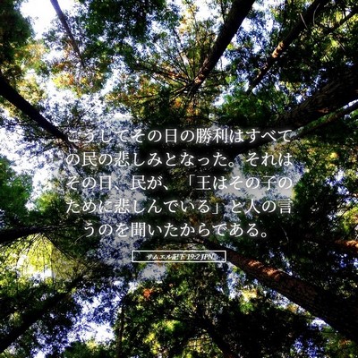 Picture 05 - サムエル記下 19:2 JPN - こうしてその日の勝利はすべての民 - Bible Verse Picture