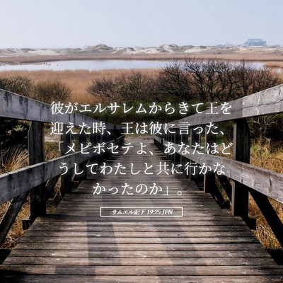 Picture 05 - サムエル記下 19:25 JPN - 彼がエルサレムからきて王を迎えた - Bible Verse Picture