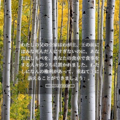 Picture 05 - サムエル記下 19:28 JPN - わたしの父の全家はわが主、王の前 - Bible Verse Picture