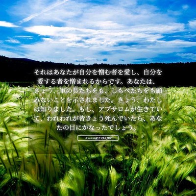 Picture 05 - サムエル記下 19:6 JPN - それはあなたが自分を憎む者を愛し - Bible Verse Picture
